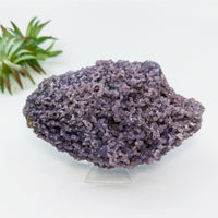 Thumbnail for Grape Agate 4.5’’ Cluster Specimen #LV6805 - $125