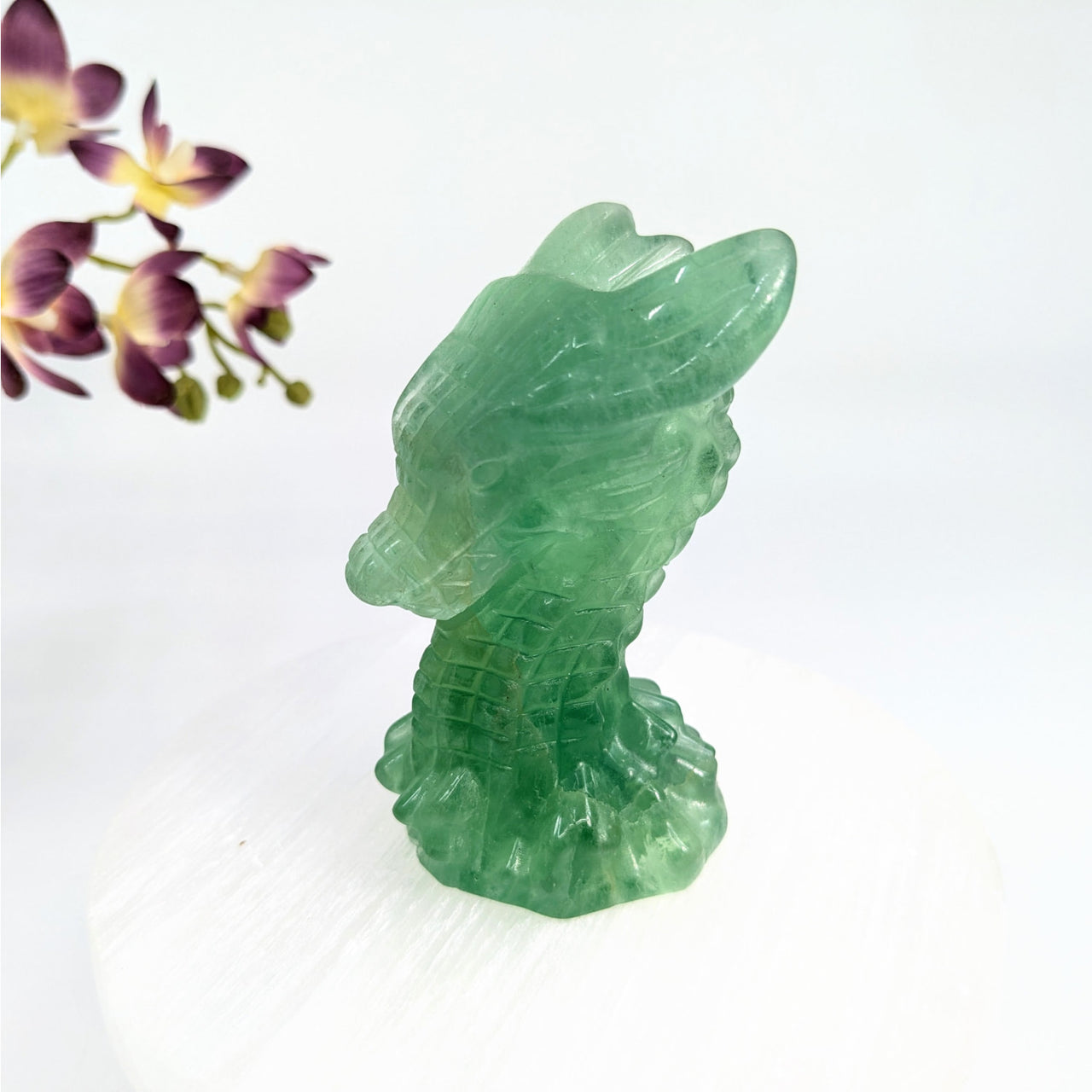 Green Fluorite 3.1’’ Dragon Head #LV6217 - $69