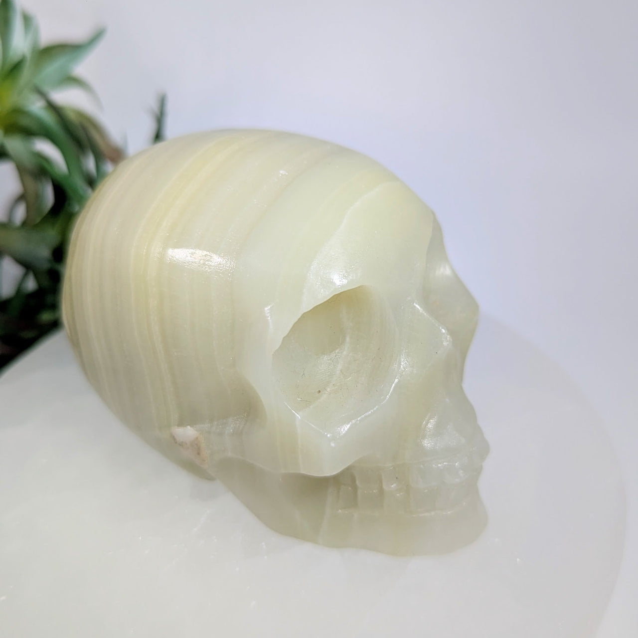 Green Onyx 3.3’’ Skull Carving #LV9261 - $70