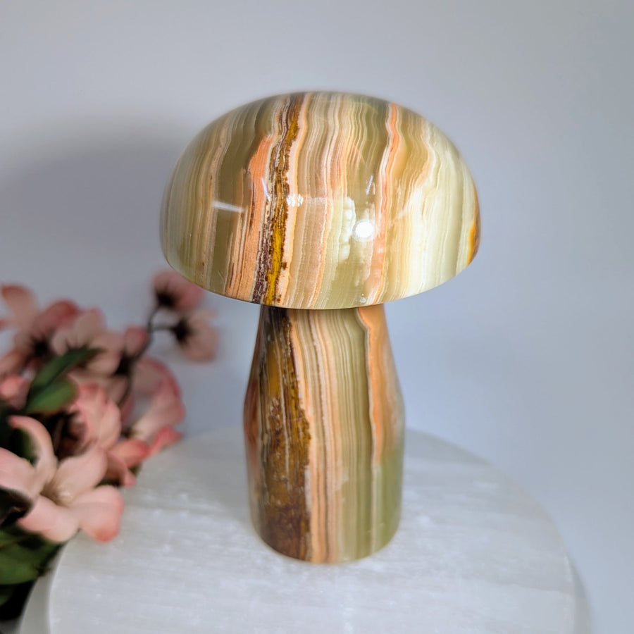 Polished striped green onyx 3.9’’ mushroom carving #BC0165