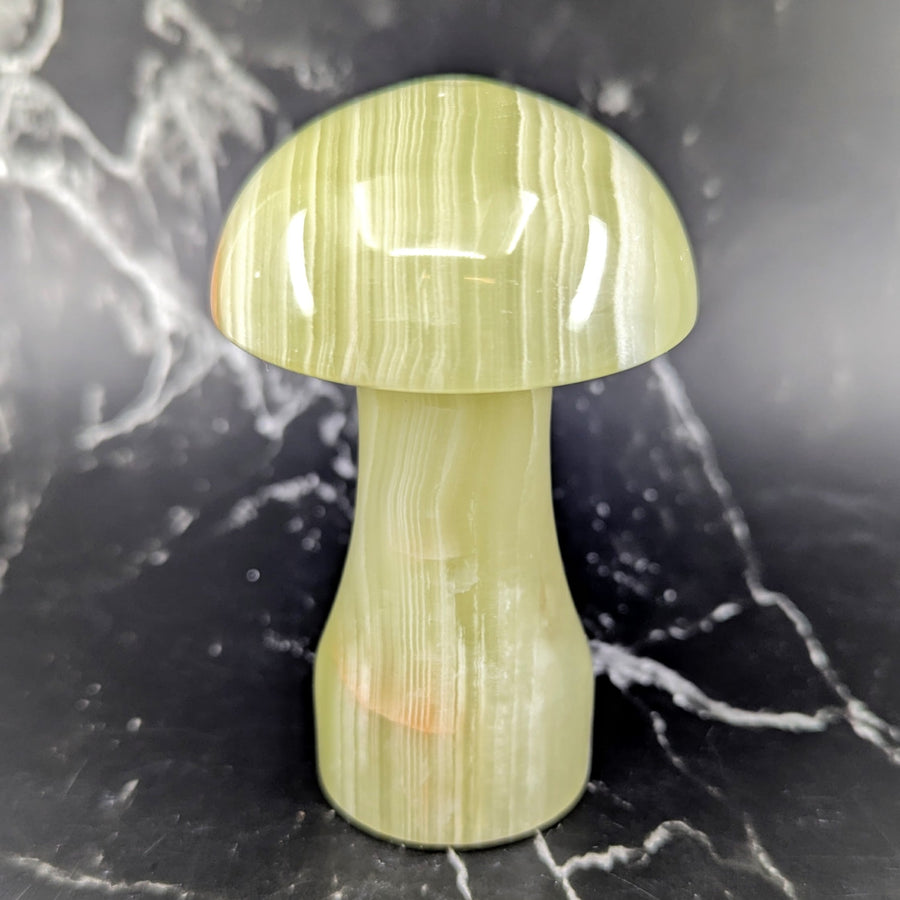 Polished pale green onyx mushroom sculpture, 4 inch carving BC0619