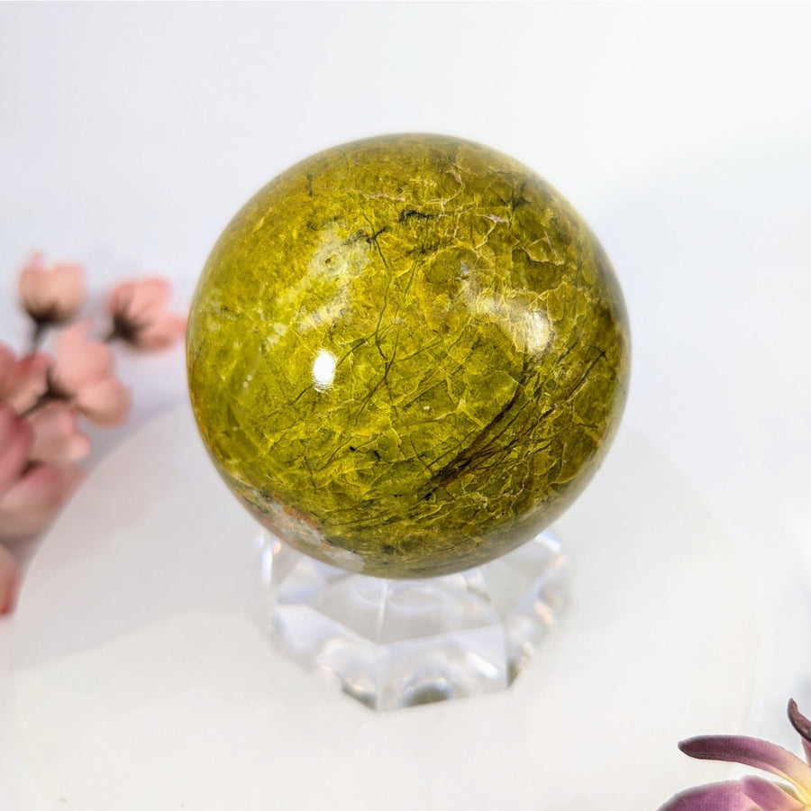 Polished 2.5’’ green opal sphere #BC0365 on crystal stand