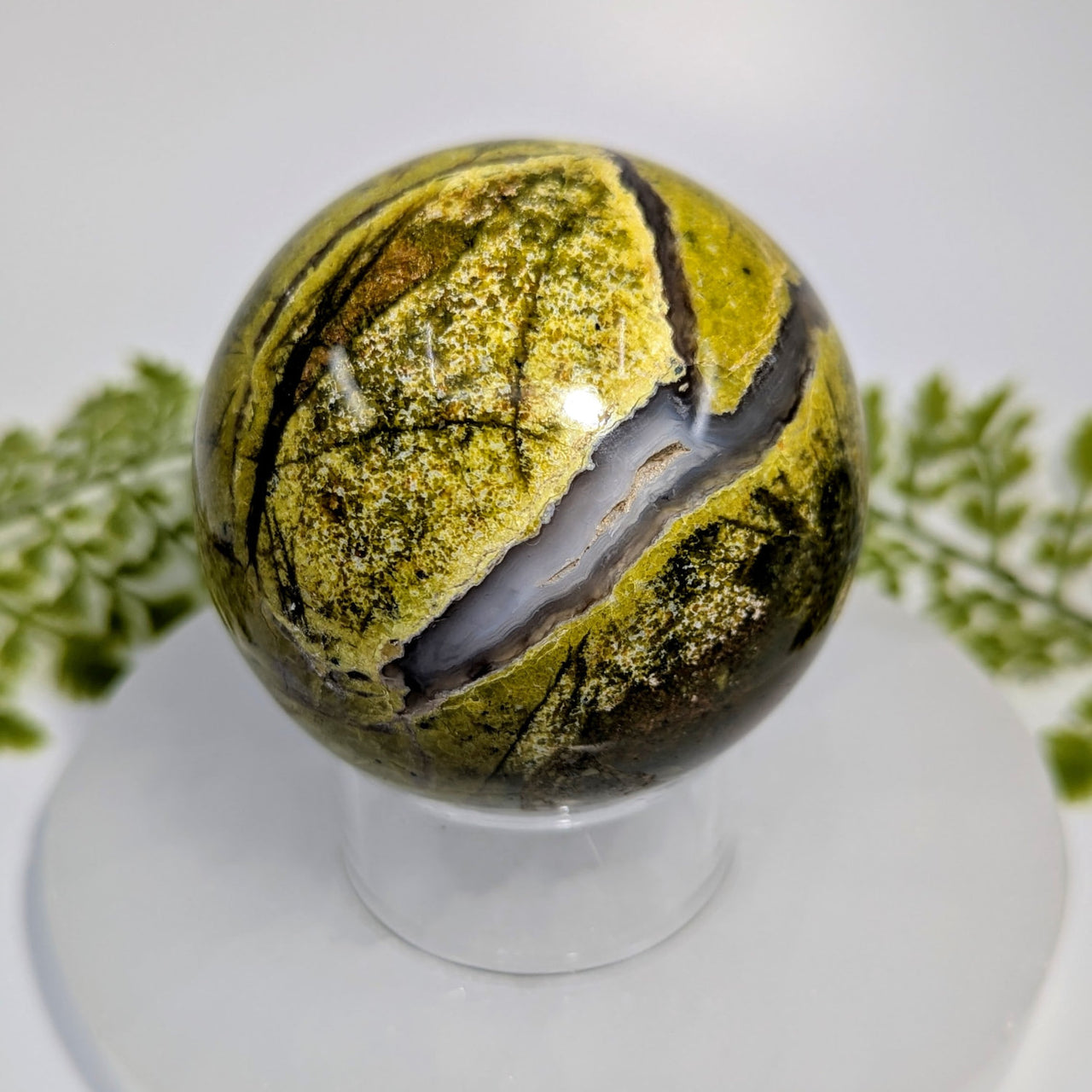 Polished green black agate 2.75in sphere BC1027 with leaf pattern