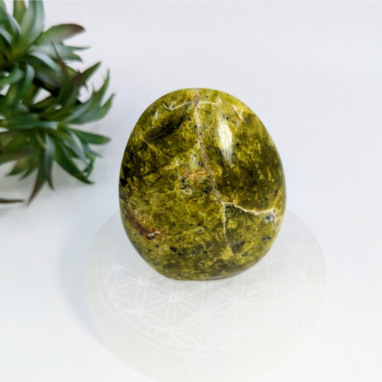 Polished green peridot crystal in Green Opal 2.9’’ Freeform #LV6927 with translucent shine