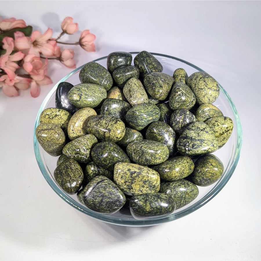 Green Snakeskin Jasper tumbled stone, 0.8-1.1 inch, polished green black pebbles in bowl