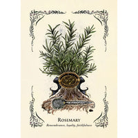 Green Witch’s Oracle Deck by Arin Murphy-Hiscock #LV3678