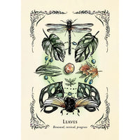 Green Witch’s Oracle Deck by Arin Murphy-Hiscock #LV3678