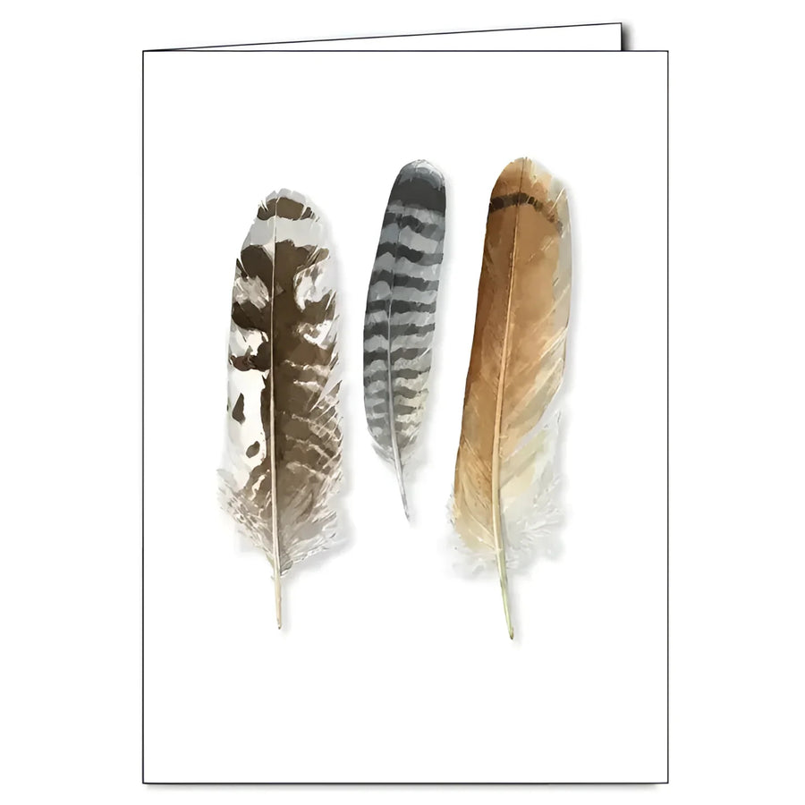 Greeting Card #K002 - Birds of Prey Feathers - $6.95