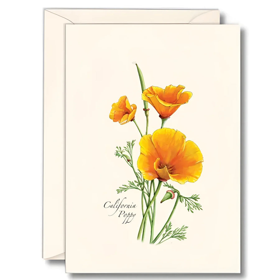 Greeting Card #K002 - California Poppy Notecards (8pc Set)