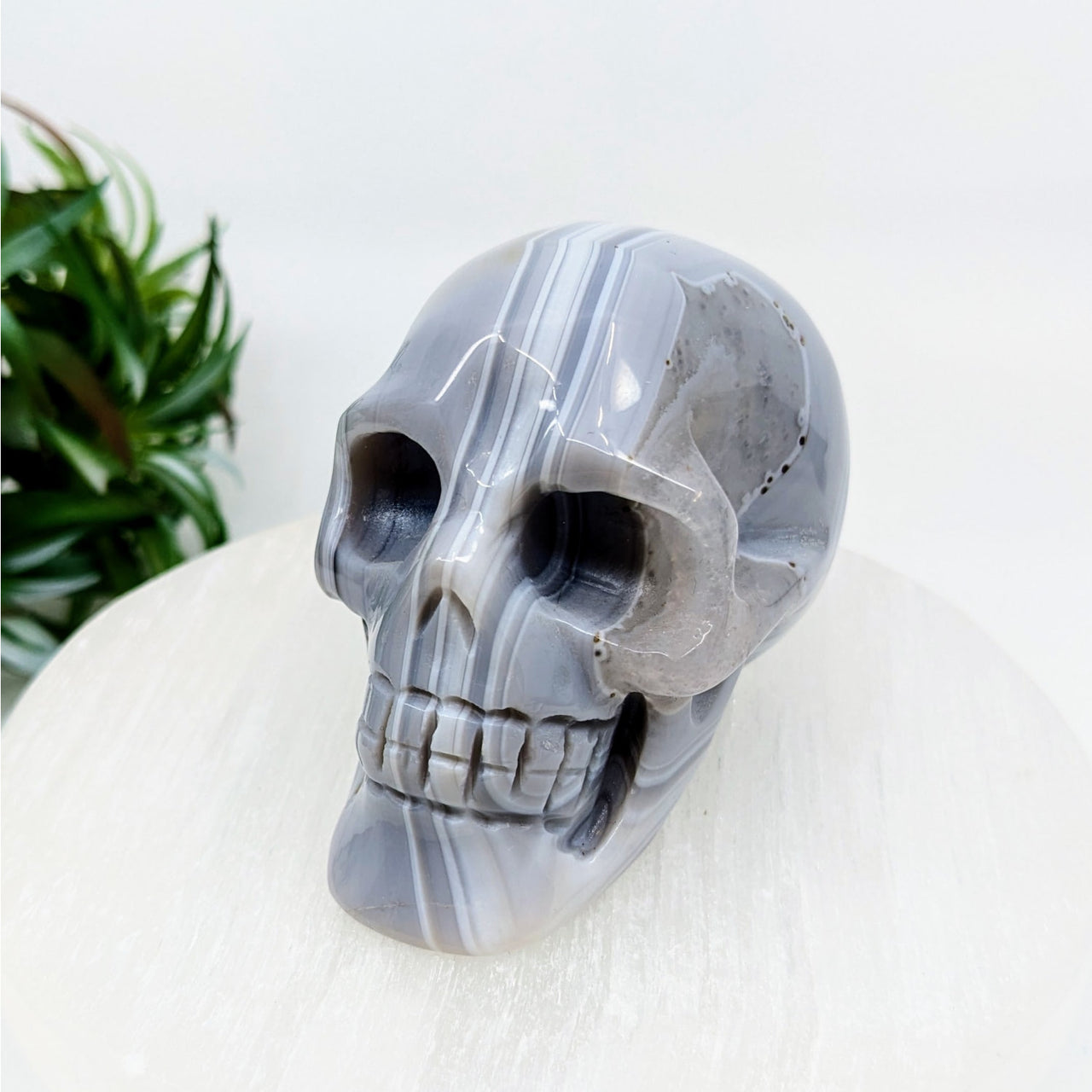 Grey Banded Agate 3.1’’ Skull #LV6235 - $99