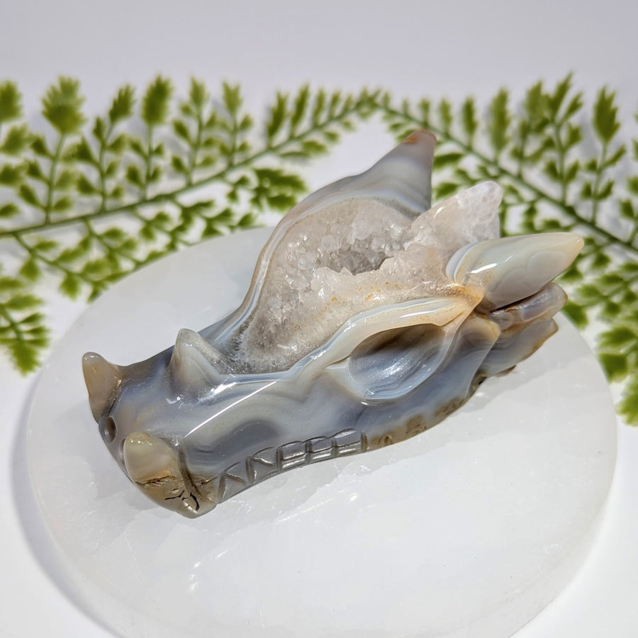 Grey druzy agate 3.7-inch dragon head carving #BC1202