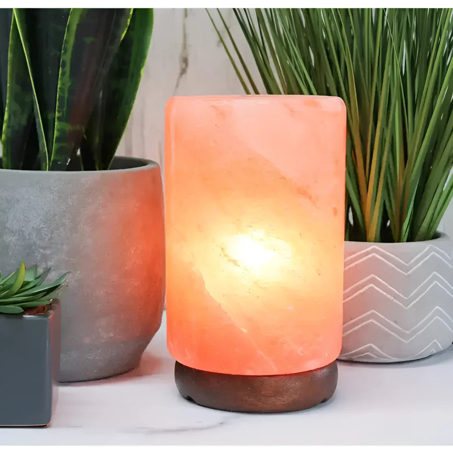 Himalayan Salt Lamp 8’ next to a potted plant - Natural Decor for Serenity #LV3580