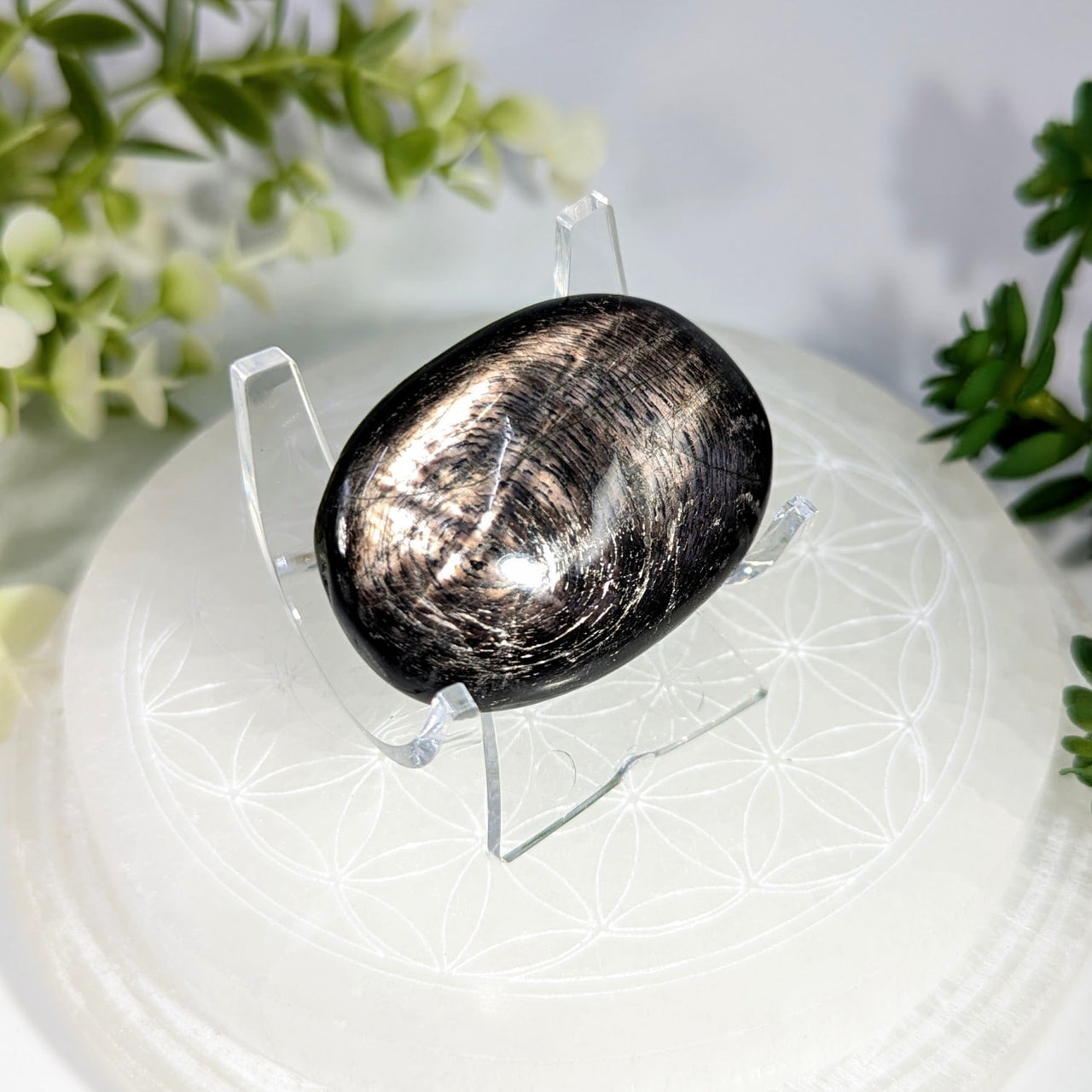A polished black and silver metallic hypersthene 1.7 inch smooth oval palm stone for meditation and healing