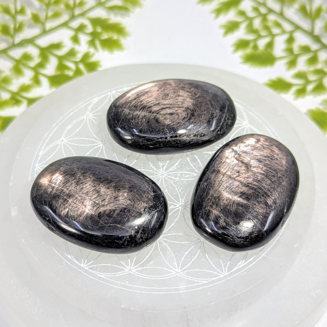 Hypersthene 2.1’’ palm stone #BC1227: 3 black silverstone pebbles on quartz