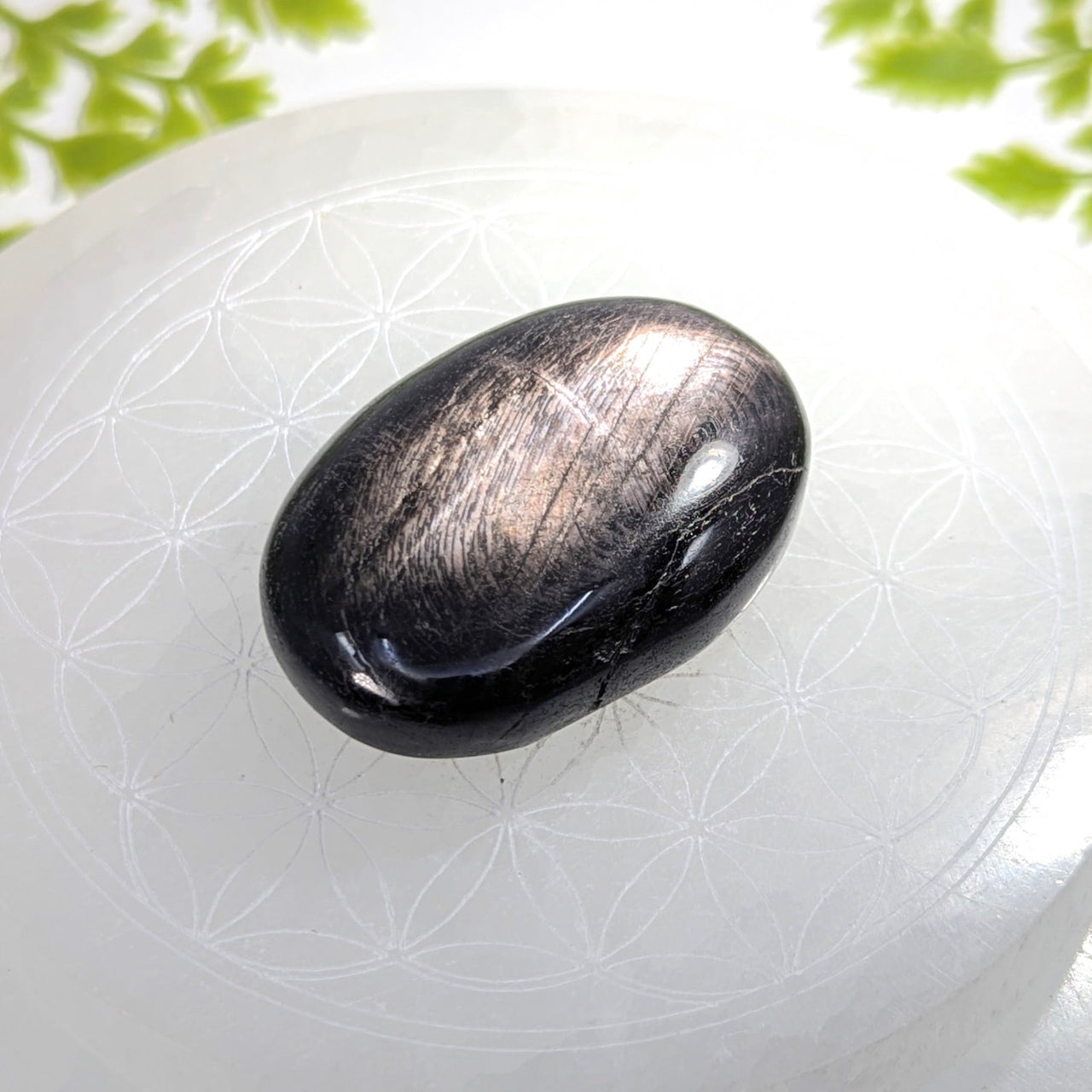 Hypersthene 2’’ palm stone #BC1223 with glossy black finish on etched white surface