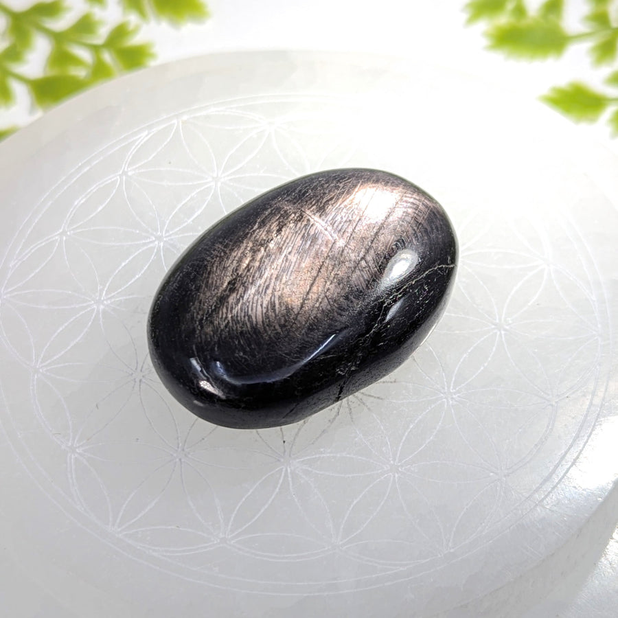 Hypersthene 2’’ palm stone #BC1223 with glossy black finish on etched white surface
