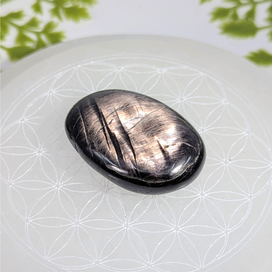 Polished black silver-streaked aventurine Hypersthene 2’’ oval palm stone #BC1224