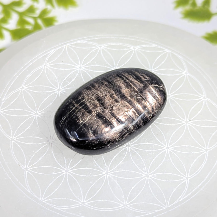 Polished hypersthene 2’’ palm stone #BC1225 with silver streaks on plate