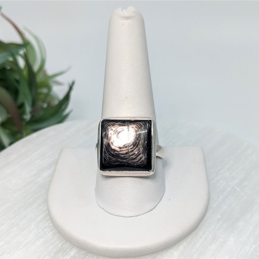 Hypersthene Sz. 11 S.S. Ring #LV5605 - $79