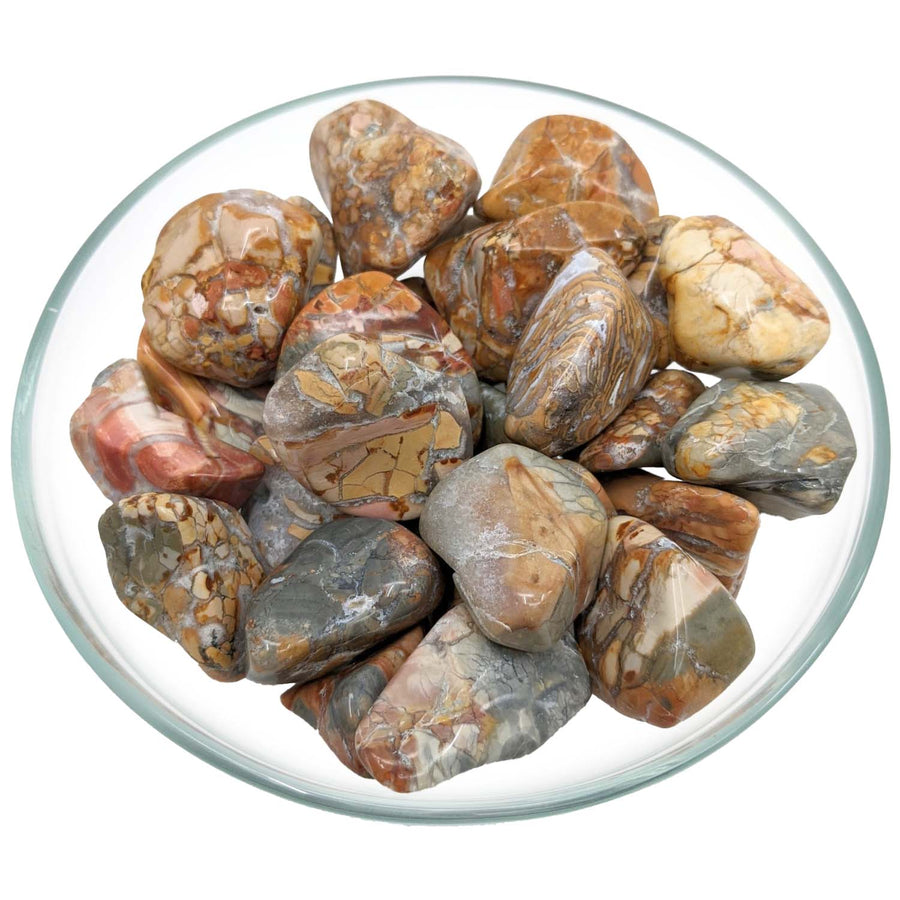 Bowl of Ibis Jasper XL Tumbled Stones showcasing unique textures and colors