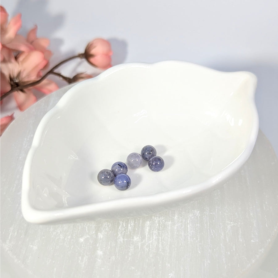 Polished translucent iolite round beads 6mm in leaf dish