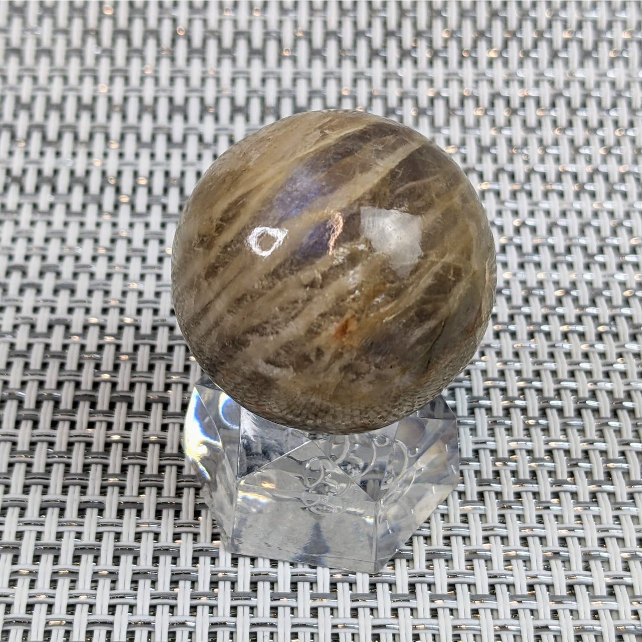Iridescent Sunfire Moonstone Sphere: large brown/white marble on clear base #LV4836