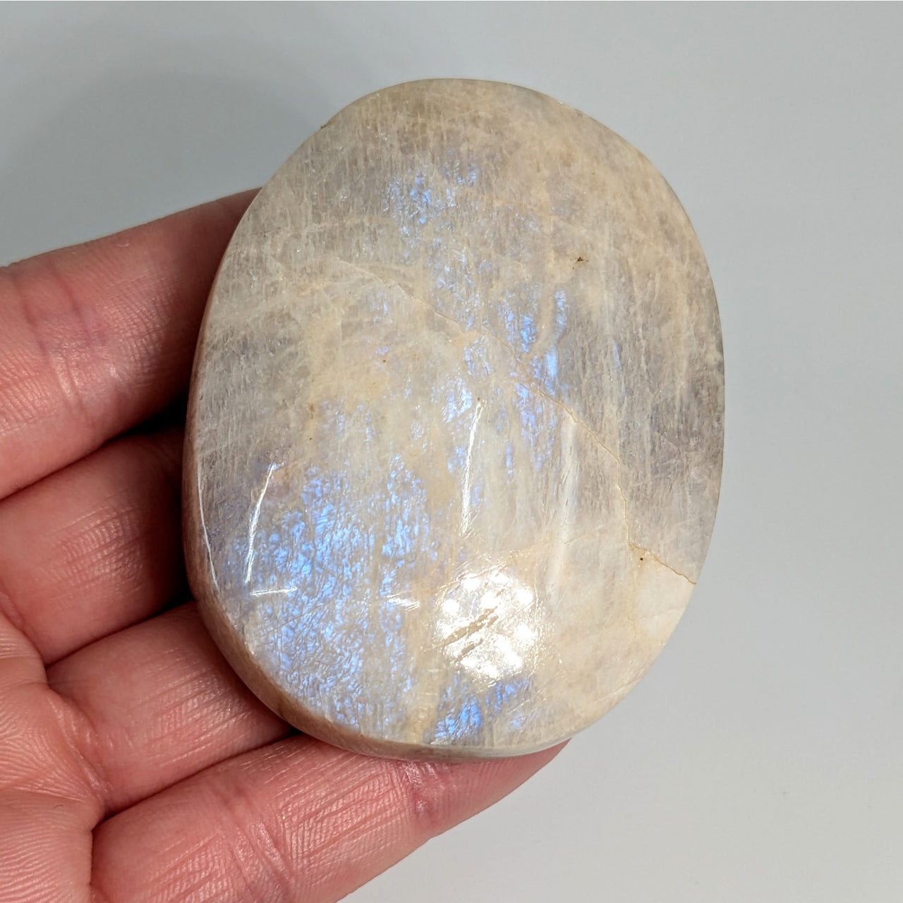 Iridescent Sunfire 2.3’’ Moonstone Palm #LV6010 - $51