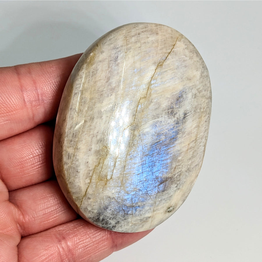 Iridescent Sunfire 2.3’’ Moonstone Palm #LV6011 - $47