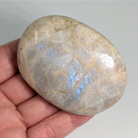 Iridescent Sunfire 2.4’’ Moonstone Palm #LV6014 - $46