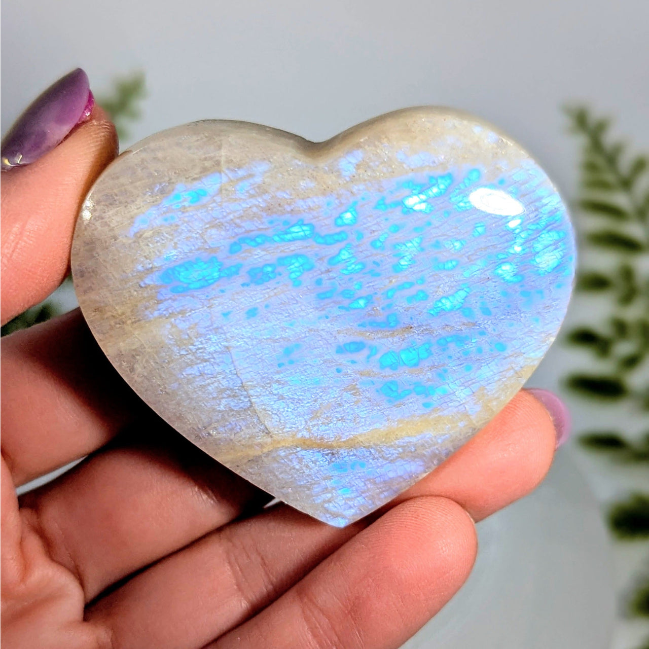 Iridescent labradorite sunfire moonstone 2.25 inch heart #BC0869