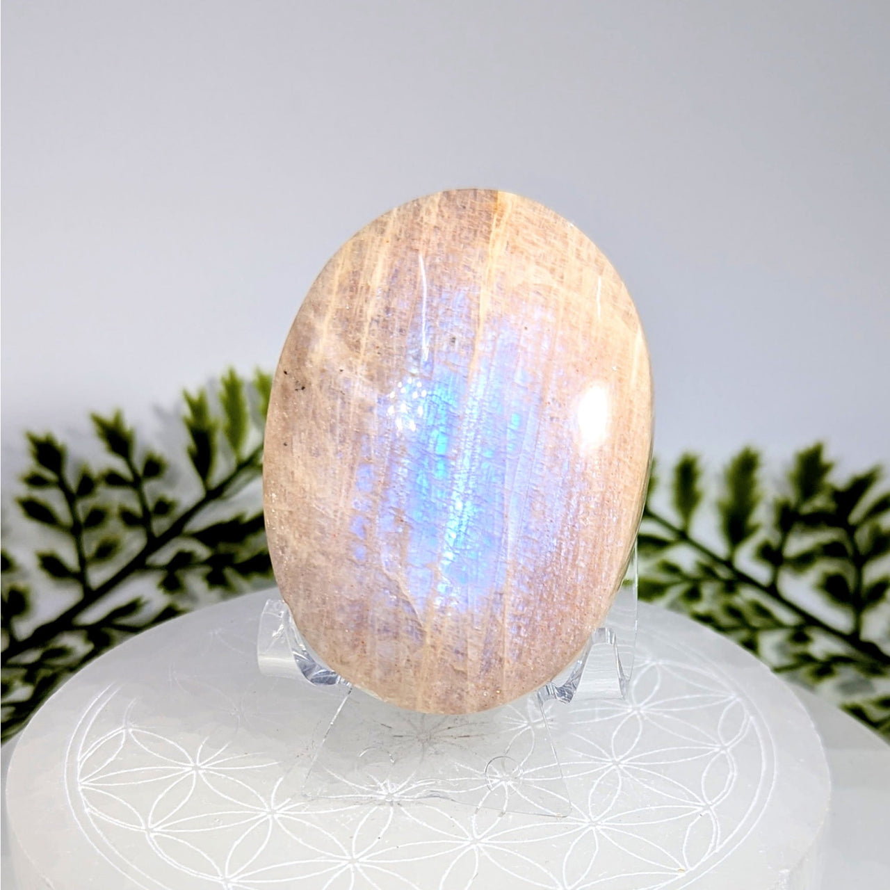 Iridescent Sunfire Moonstone 2.25 inch Palm Stone #BC0893