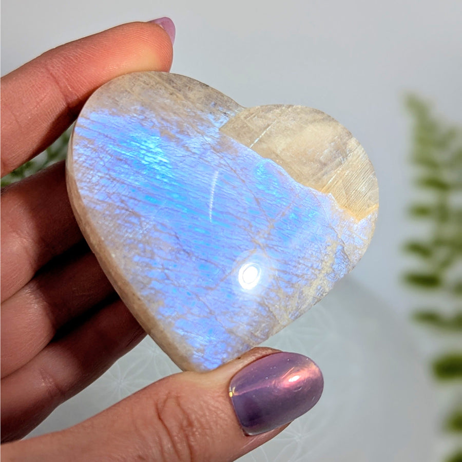Iridescent Sunfire Moonstone 2.5’’ Heart #BC0868 rainbow moonstone