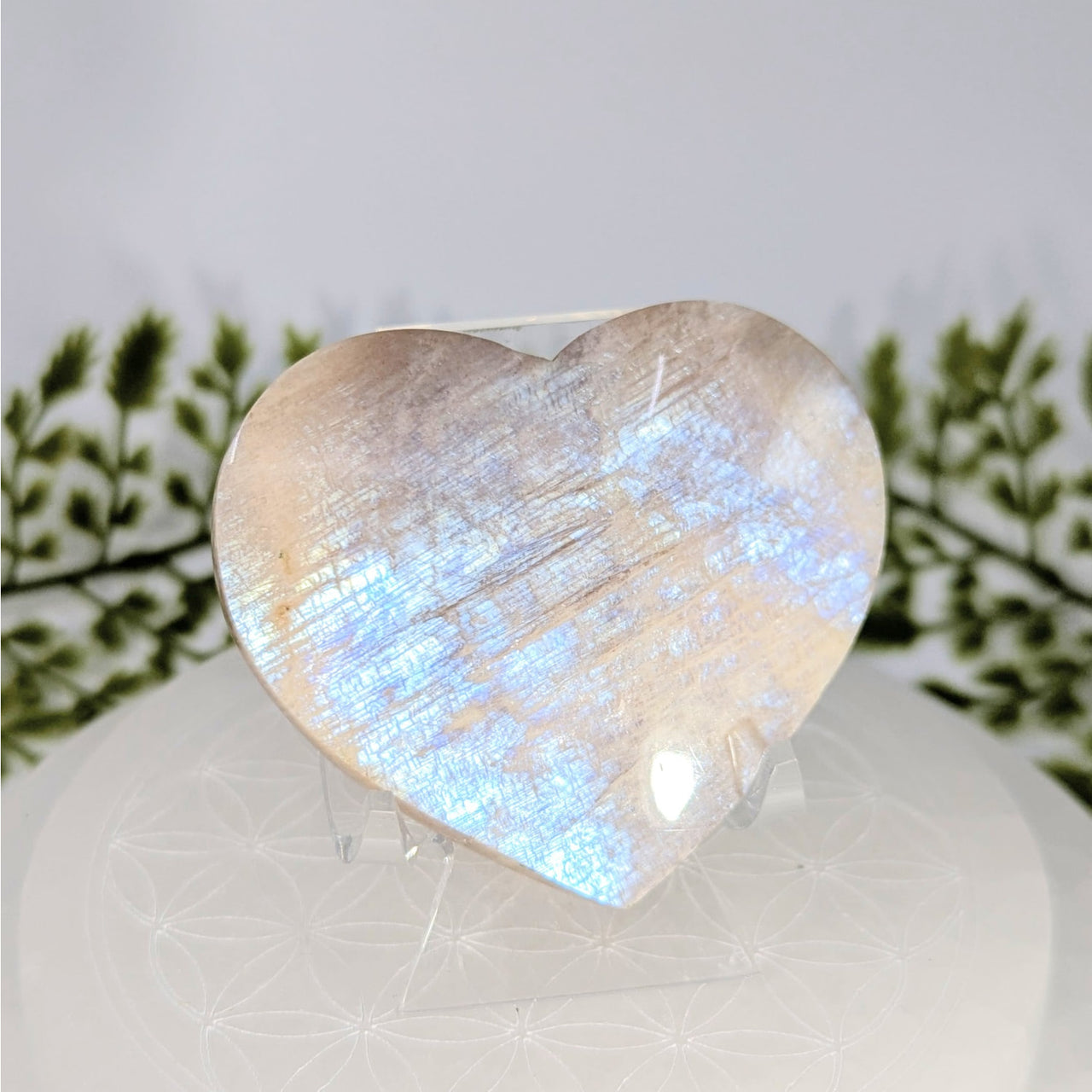 Irridescent Sunfire 2.4’’ rainbow moonstone heart #BC1217