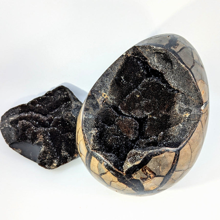 Jumbo Septarian 13lb 8’’ Dragon Egg Geode with Door #BC0263