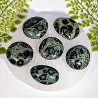 Six polished green black Kambaba Jasper pebbles with eye patterns on quartz plate #BC1018