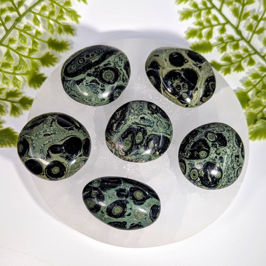 Six polished green black Kambaba Jasper pebbles with eye patterns on quartz plate #BC1018