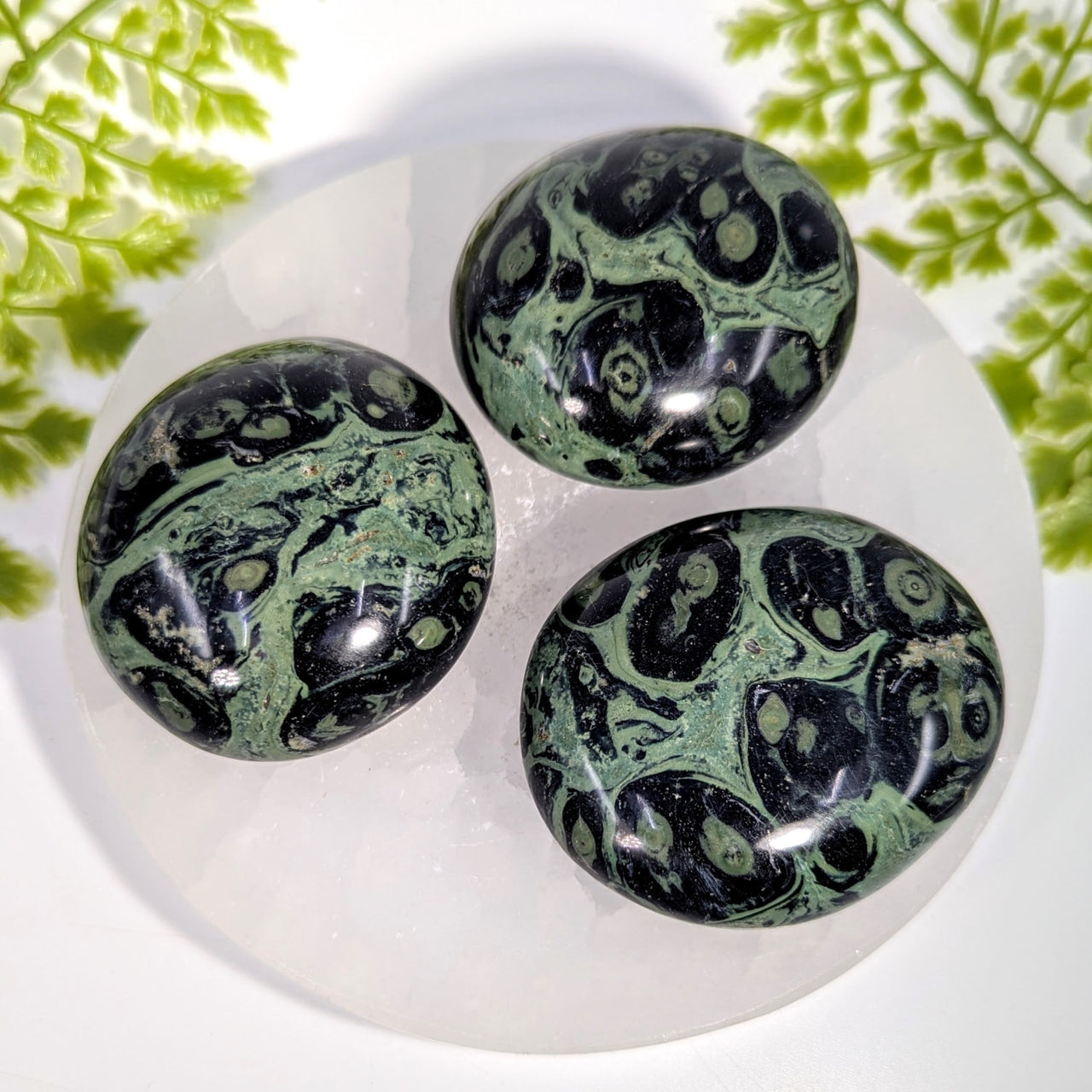Three polished green black Kambaba Jasper pebbles 2-2.5in XL #BC1017