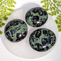 Three polished green black Kambaba Jasper pebbles 2-2.5in XL #BC1017