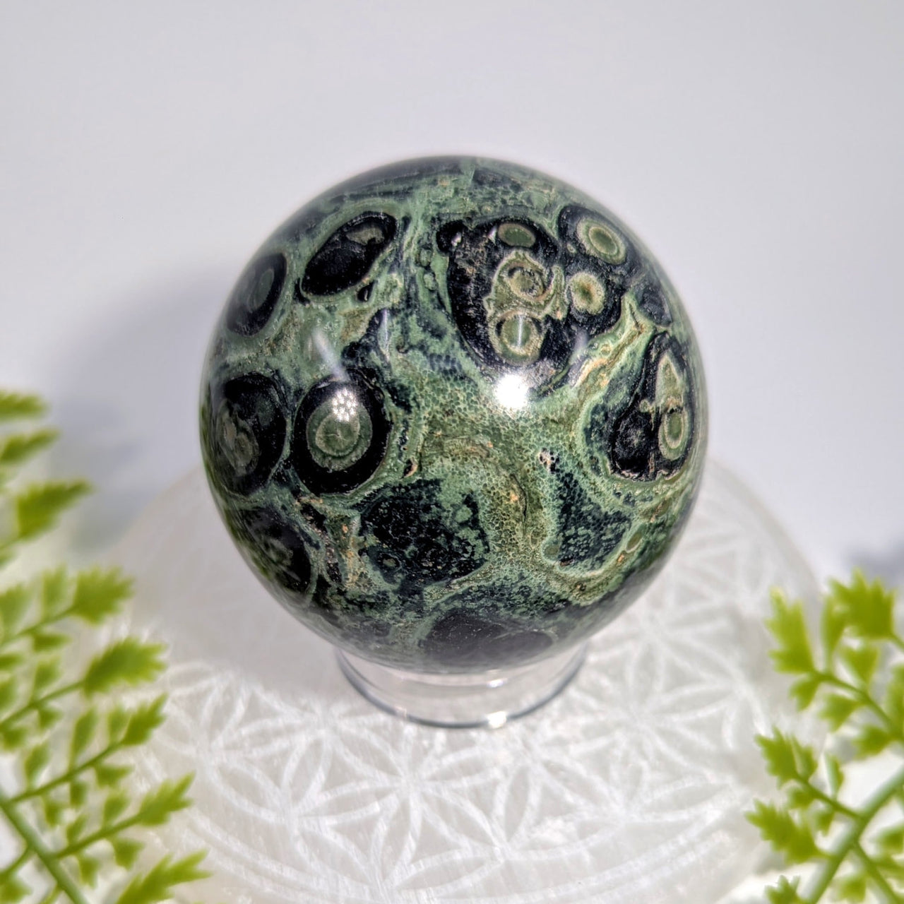 Polished Kambaba Jasper 2.6 inch sphere #BC1142 with eye patterns