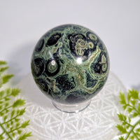 Polished Kambaba Jasper 2.6 inch sphere #BC1142 with eye patterns