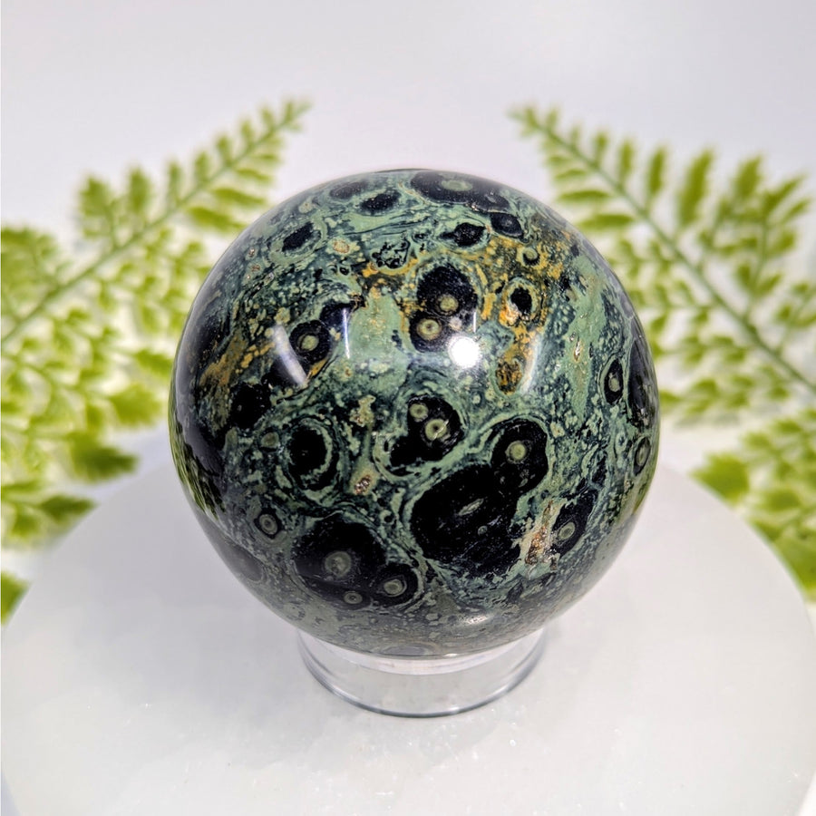 Kambaba jasper 2.7 inch sphere #BC1034 polished green black on clear stand