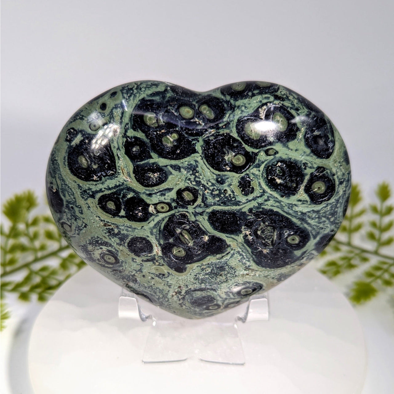 Polished 4-inch Kambaba Jasper heart #BC0837 with green black swirling eye patterns