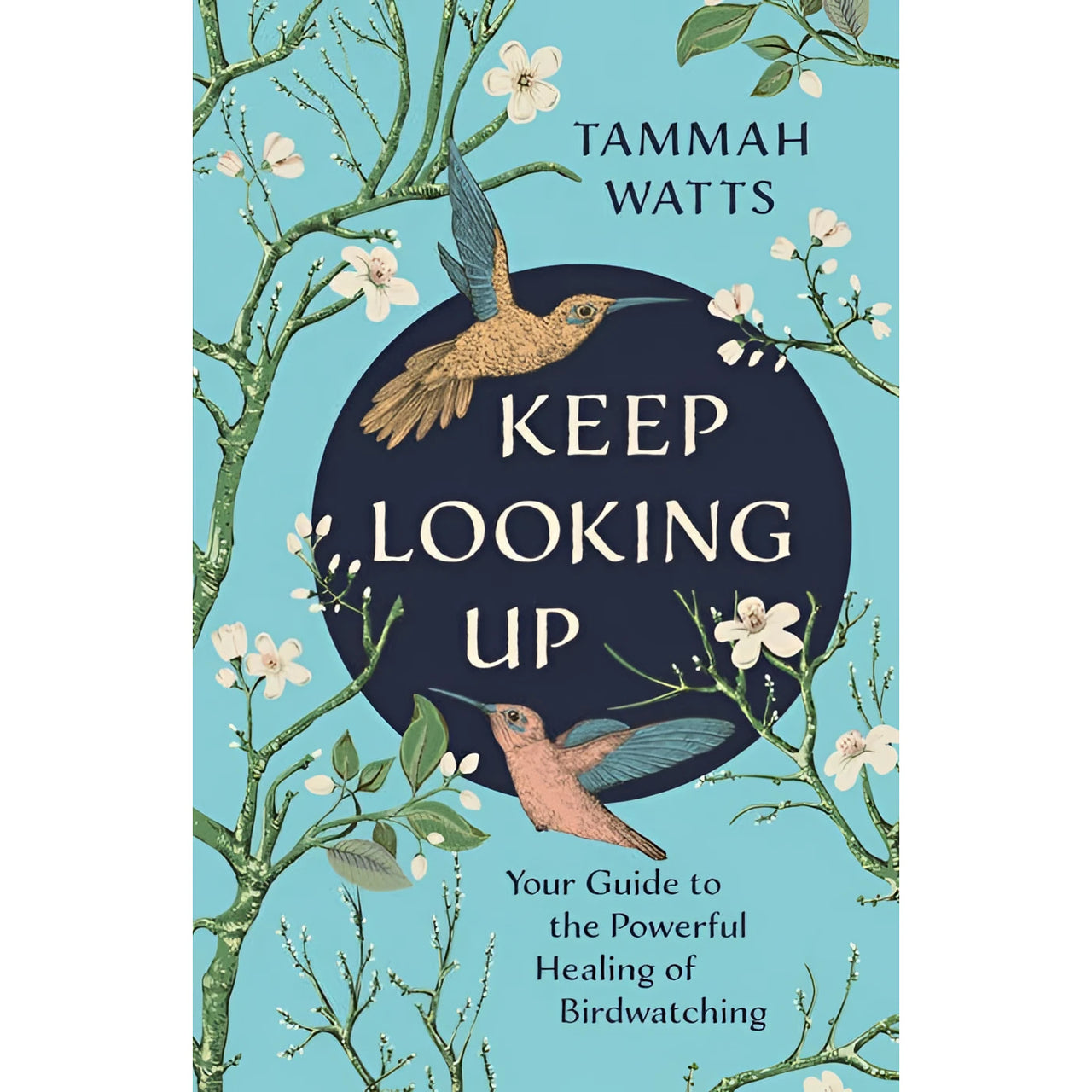 Keep Looking Up book cover with teal hummingbirds and branches #LV9599