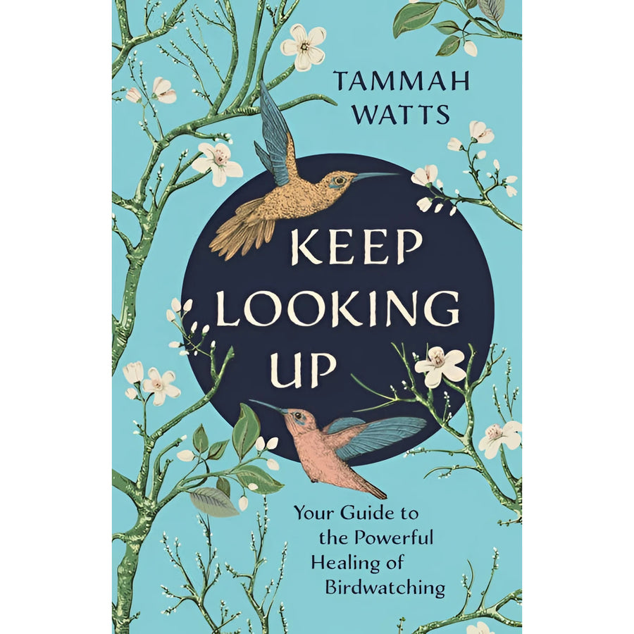 Keep Looking Up book cover with teal hummingbirds and branches #LV9599