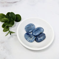 Thumbnail for Four blue tumbled stones on a white plate next to a plant - Kyanite Gem A+ Tumbled #LV3970