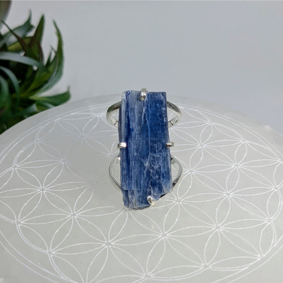 Blue Kyanite Blade ring for throat chakra, adjustable size, ideal for court hearings