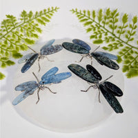 Kyanite Wing 2.7-3.2’’ blue and black stone dragonfly brooch #BC1007