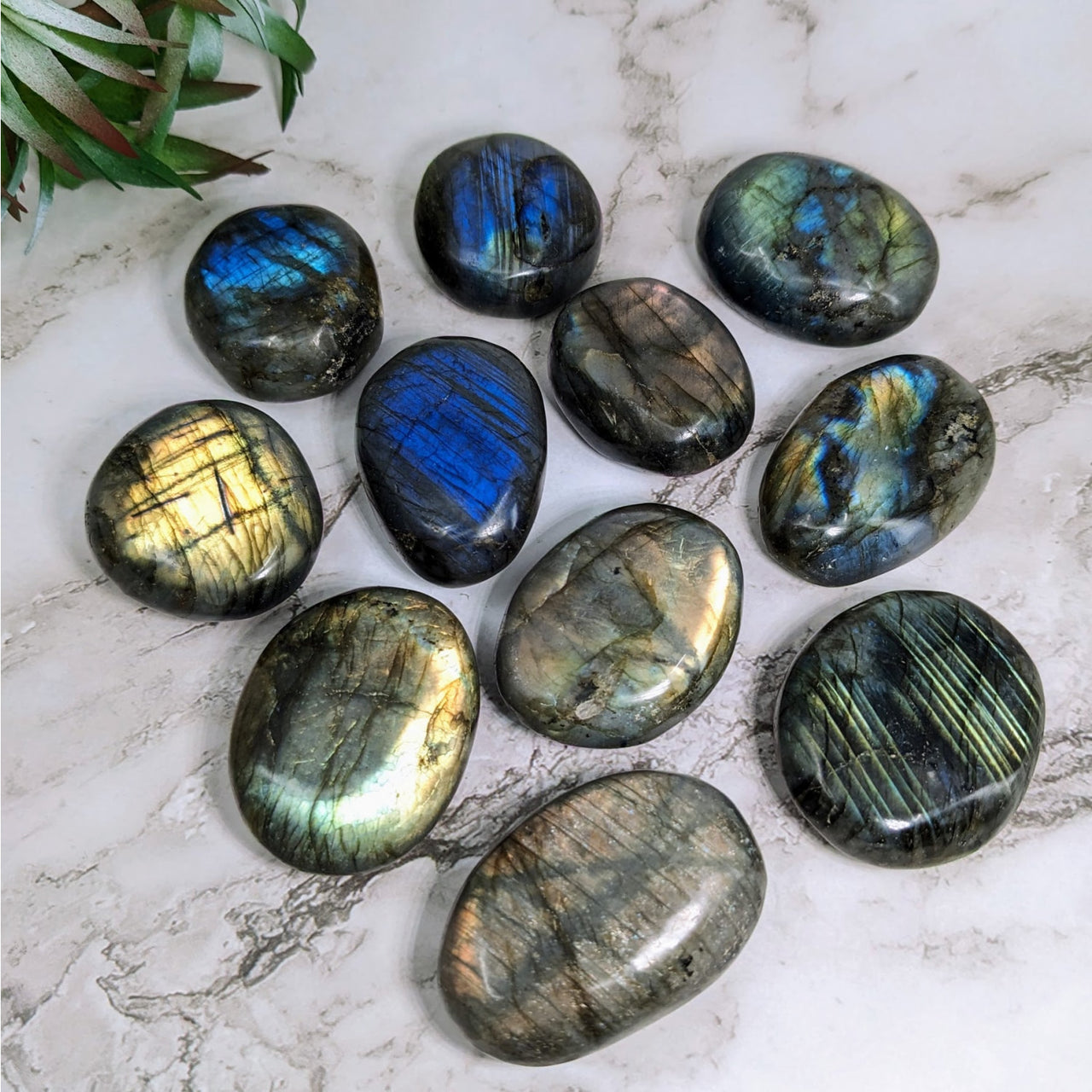 Close-up of multi-colored palm stones for sale, featuring Labradorite #LV4216