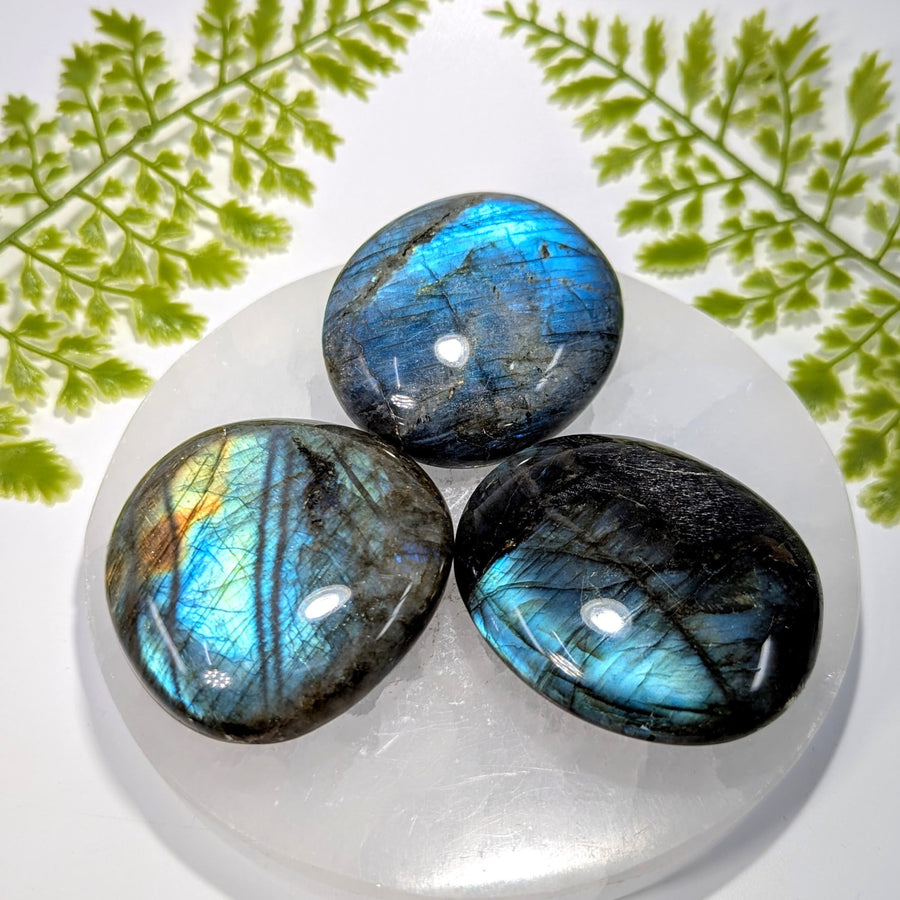 Three polished labradorite pebble stones 2.2-2.7in #BC1022 with blue green iridescence