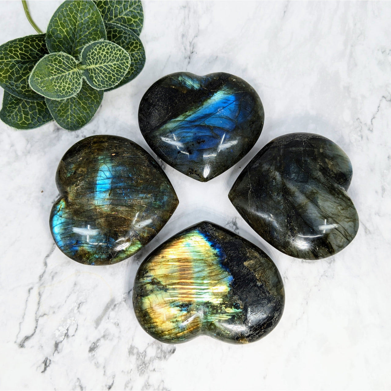 Labradorite hearts with green plant in background, 2.5-2.7’, product code LV5721